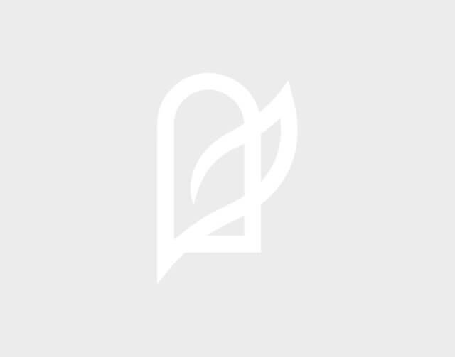 the white DNS logo on a light grey background
