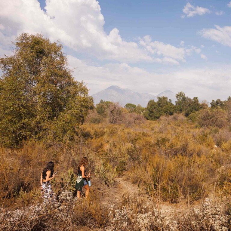 two student walk in the brush of the Bernard Field Station with the San bernardino mountains in the background