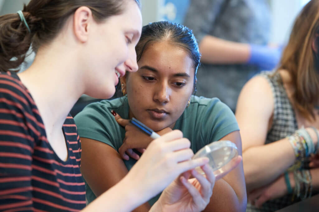 Two students look at bacteria on a petri dish