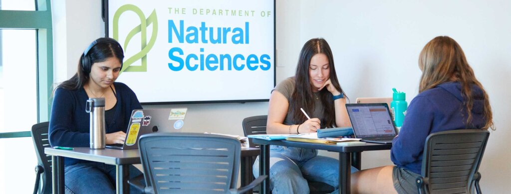 three student sit in a study area at their computers with a Department of Natural Sciences sign behind them.