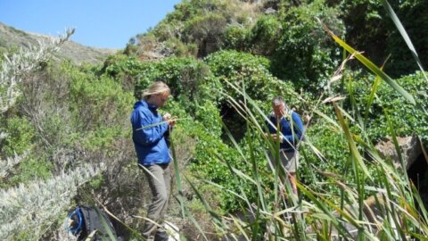 researchers studying plants out in the field