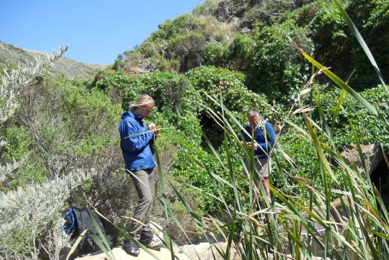 researchers studying plants out in the field