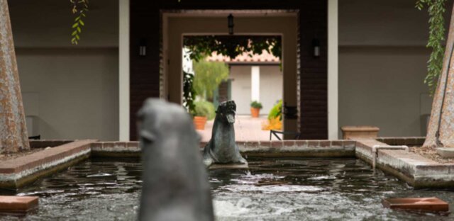 upclose view of the seal fountain in Scripps Seal Courtyard