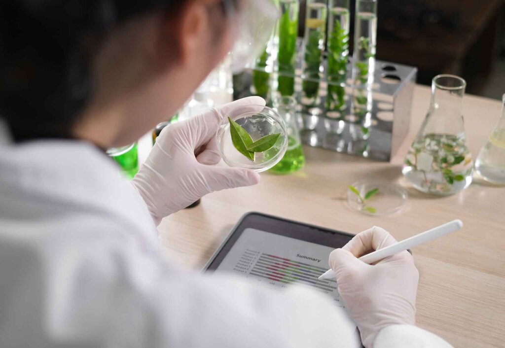a student peers at leaves in a Petri dish