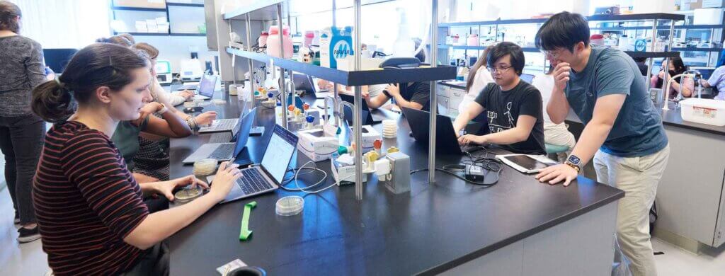 students work at stations in laboratory