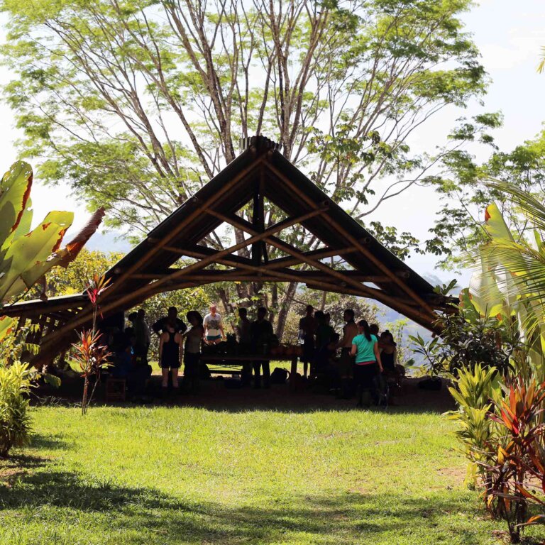 a group of students gather under an a-frame pergola that's surrounded by lush vegetation