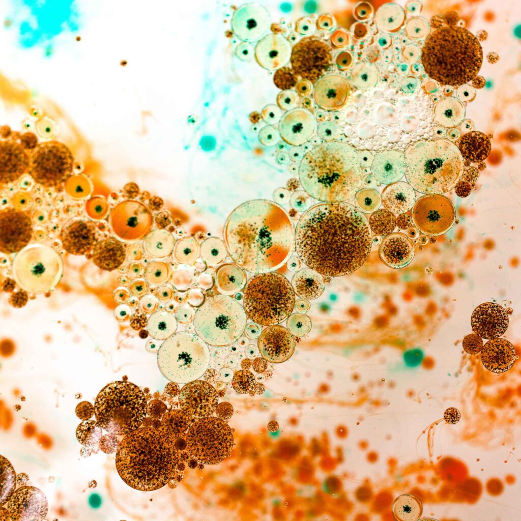 a magnified view of microbes