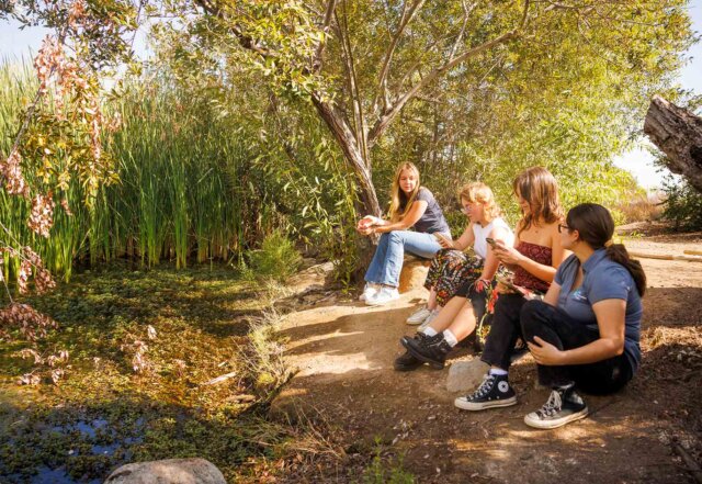four women sit on the edge of the bernard field station pond