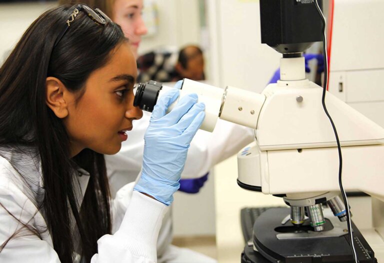 a student with long brown hair wears a lab coat and gloves while looking into a microscope in lab.