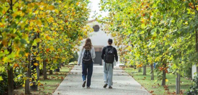 two students walk into the distance down a tree-lined walkway