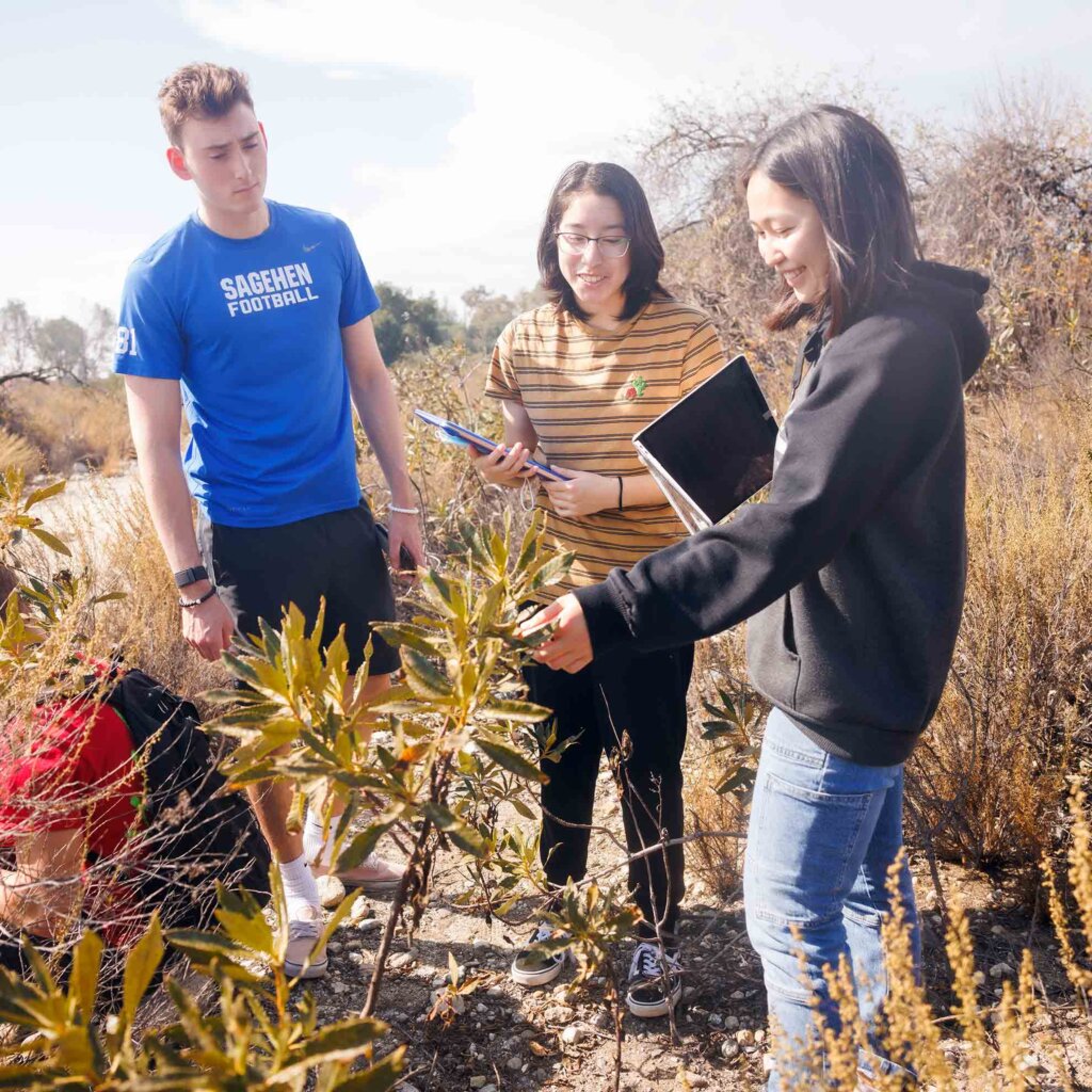 three students inspect plants outdoors at bernard field station