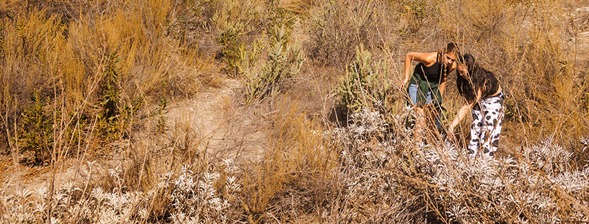 two students study native plants at the bernard field station