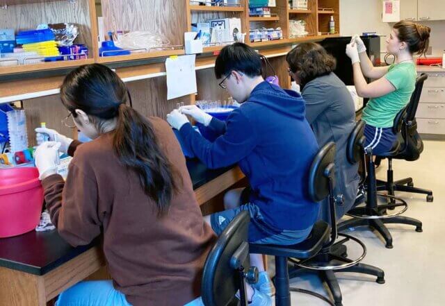 four students sit with their back towards the viewer doing work at a long table in a research lab