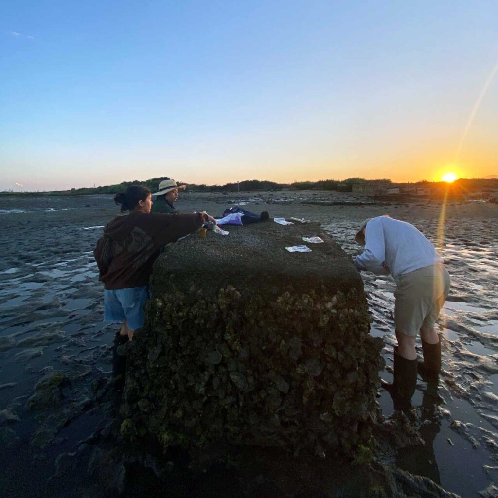 three students do resesarch on the shore of a beach by a large rock